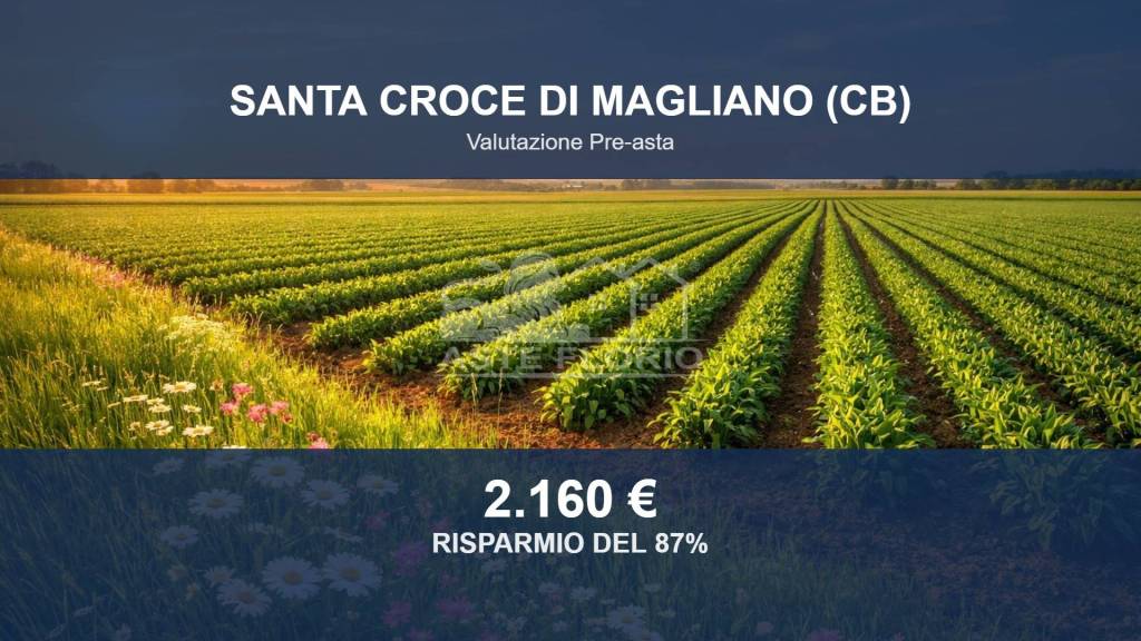 terreno agricolo in vendita a Santa Croce di Magliano