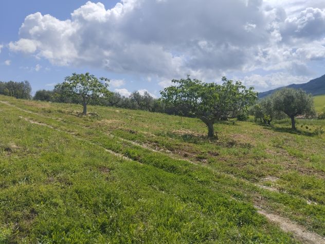 casa indipendente in vendita a Tavenna