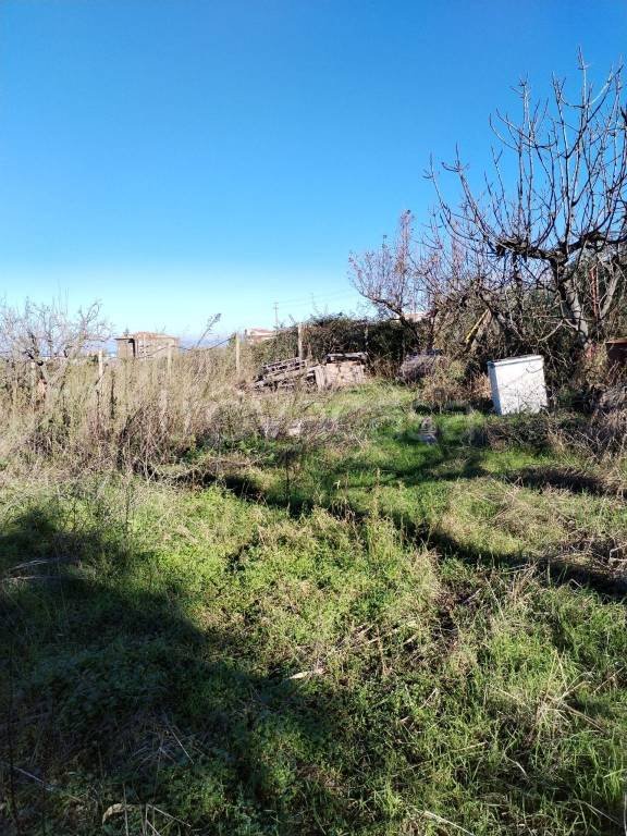 terreno agricolo in vendita a Termoli