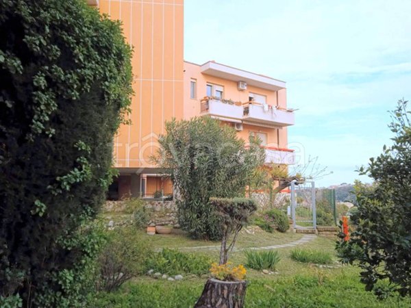 appartamento in vendita a Termoli