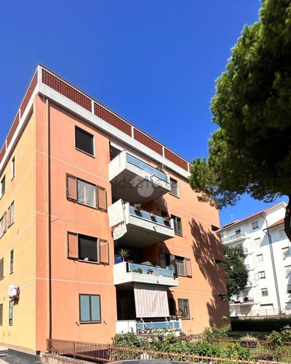 appartamento in vendita a Termoli