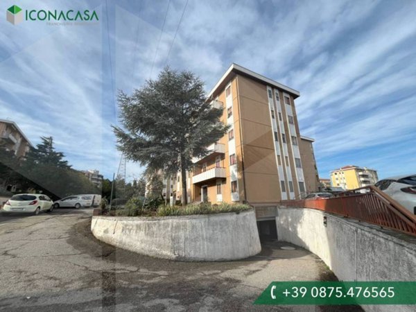negozio in vendita a Termoli