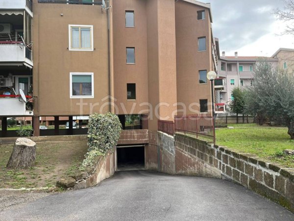 negozio in vendita a Termoli