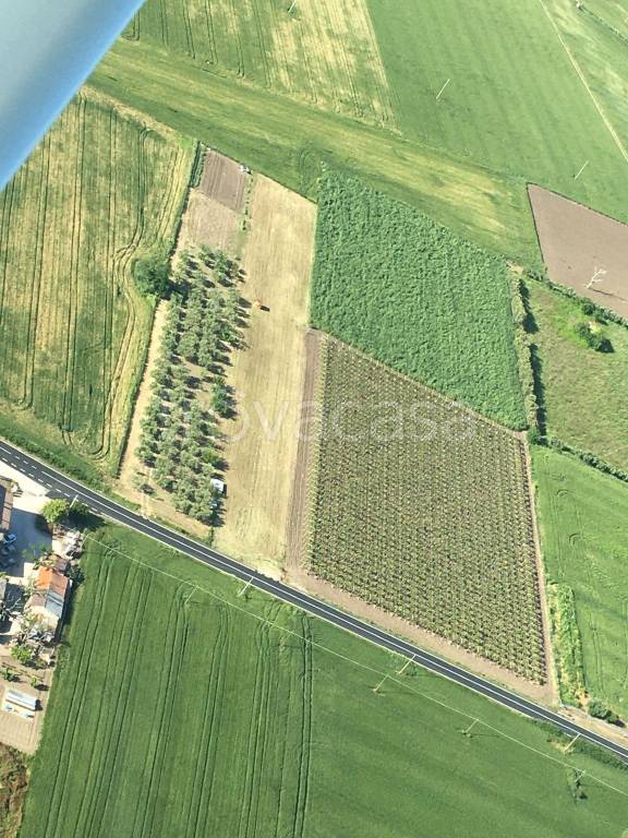 terreno agricolo in vendita a Termoli