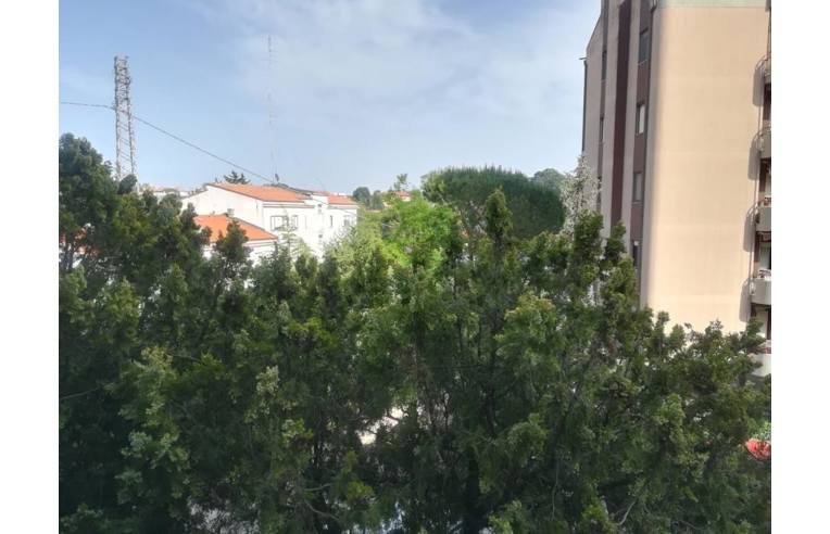 appartamento in vendita a Termoli