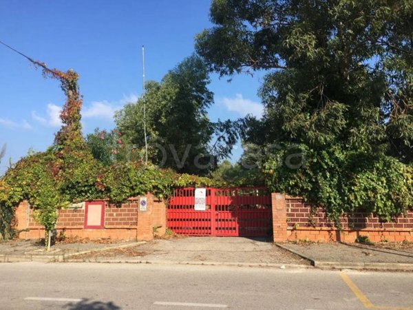 terreno agricolo in vendita a Termoli