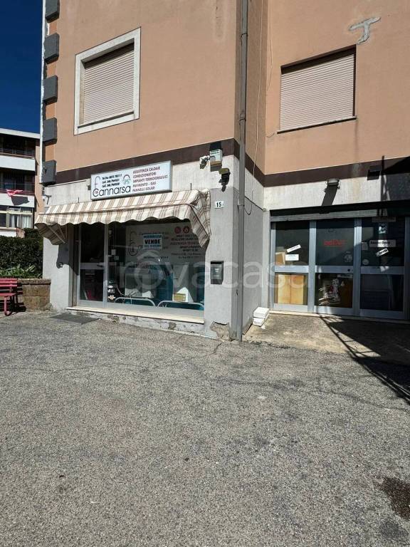trivano in vendita a Termoli