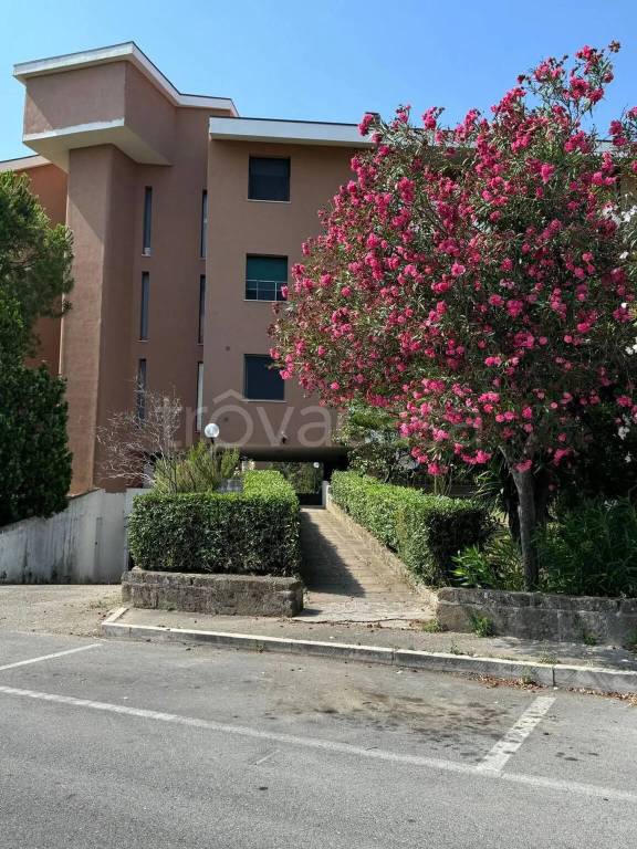appartamento in vendita a Termoli