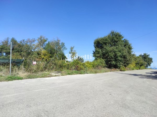 terreno agricolo in vendita a Termoli