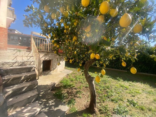 appartamento in vendita a Termoli