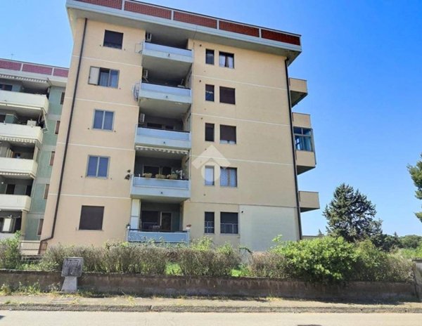 appartamento in vendita a Termoli