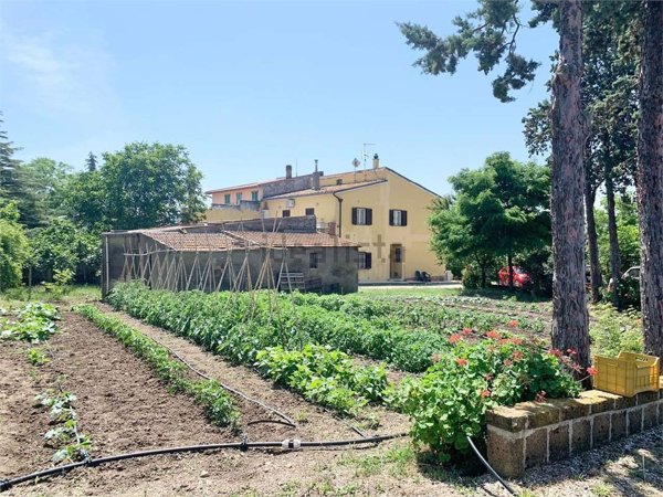 casa indipendente in vendita a Termoli