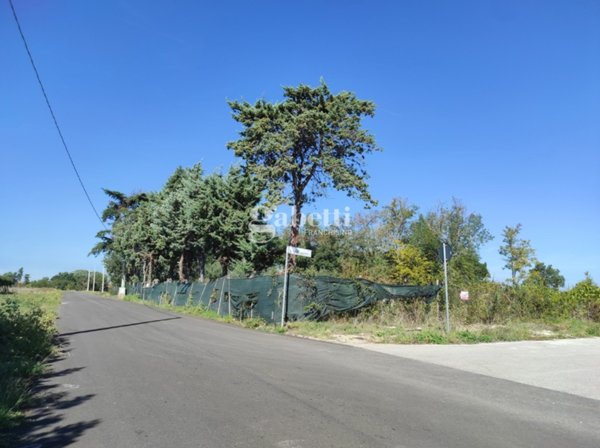 terreno edificabile in vendita a Termoli