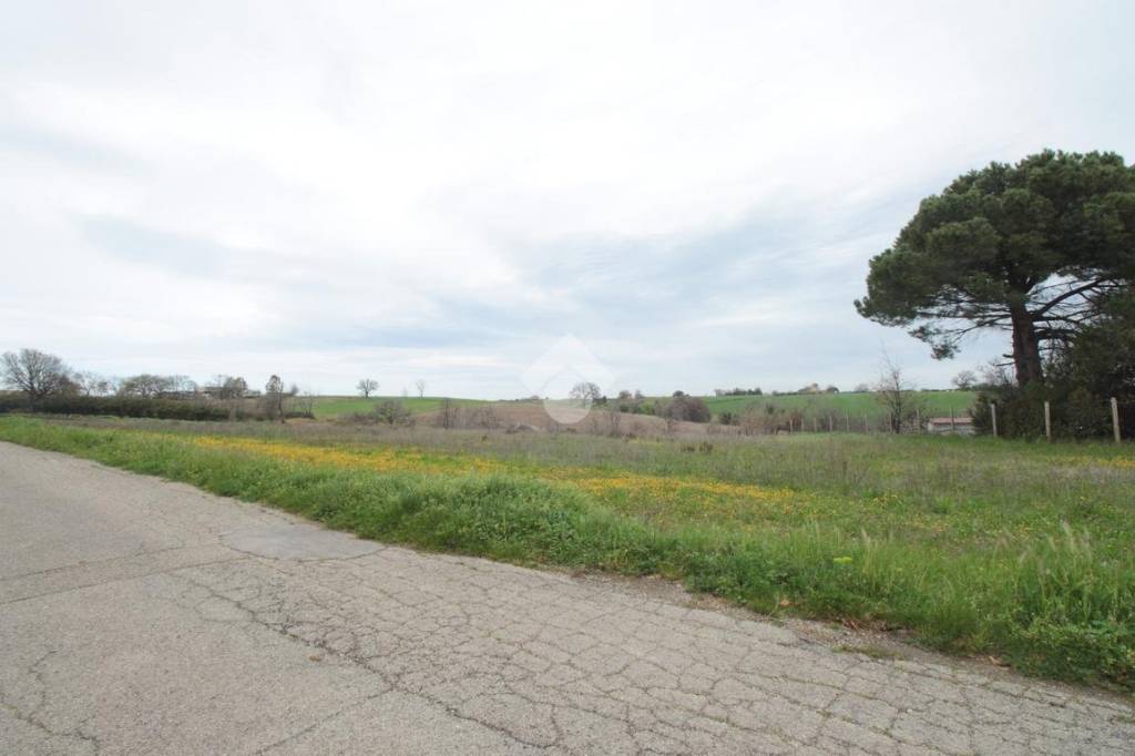 terreno agricolo in vendita a Termoli
