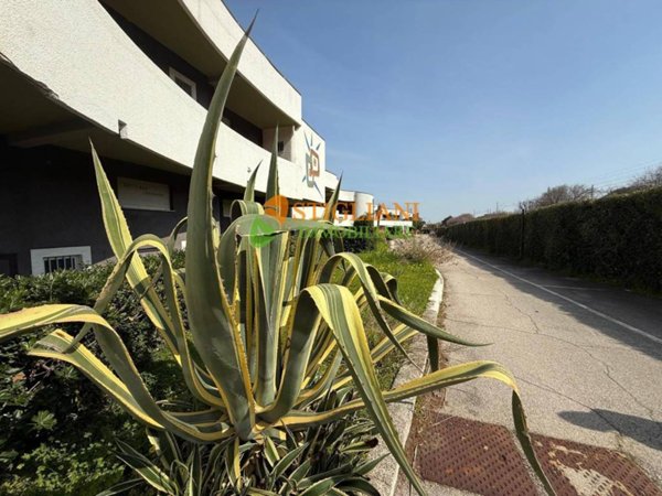appartamento in vendita a Termoli