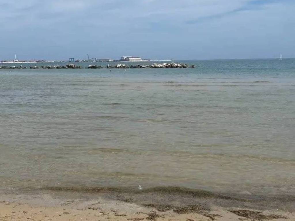 appartamento in vendita a Termoli