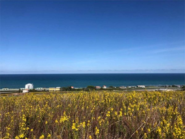 terreno agricolo in vendita a Termoli