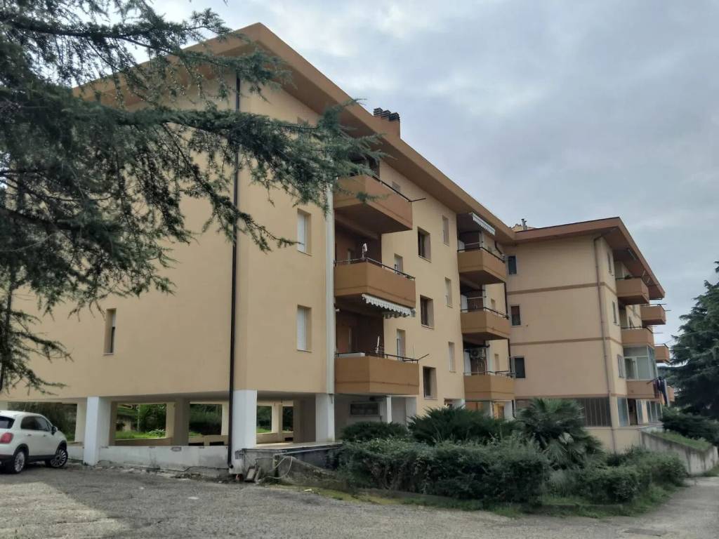 appartamento in vendita a Termoli