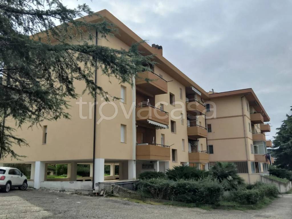 appartamento in vendita a Termoli