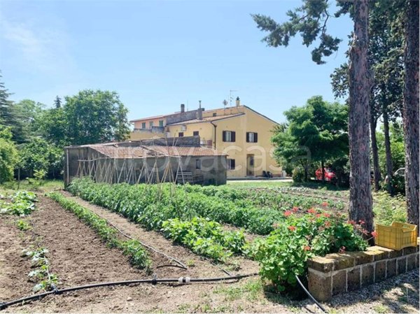 casa indipendente in vendita a Termoli