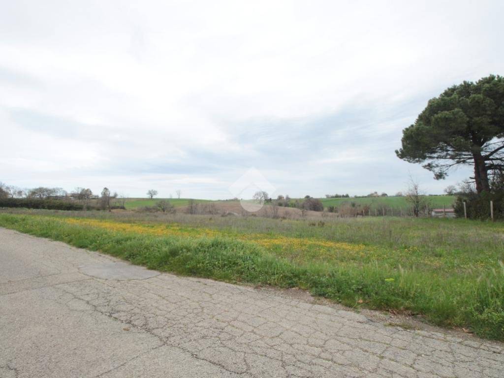 terreno agricolo in vendita a Termoli