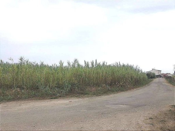 terreno agricolo in vendita a Termoli