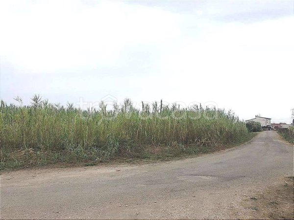 terreno agricolo in vendita a Termoli
