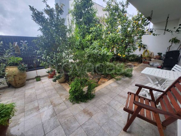 appartamento in vendita a Termoli