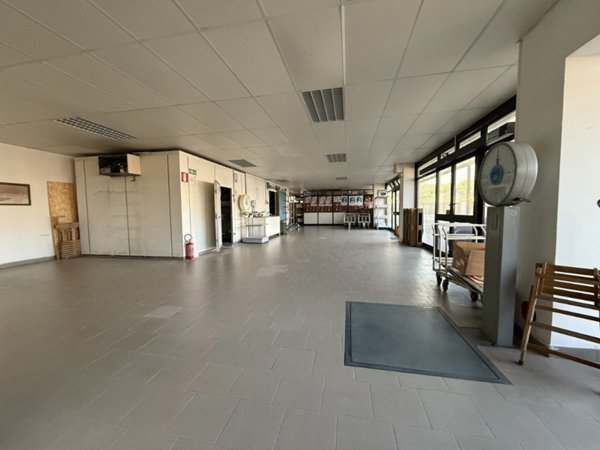 pentavano in vendita a Termoli