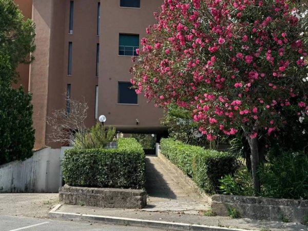 appartamento in vendita a Termoli