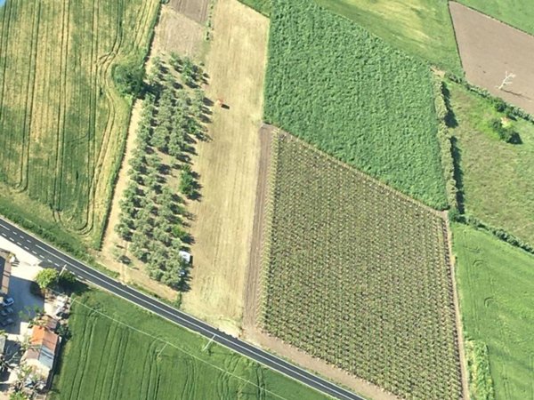 terreno agricolo in vendita a Termoli