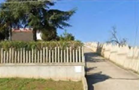 appartamento in vendita a Termoli