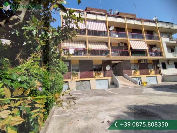 appartamento in vendita a Termoli