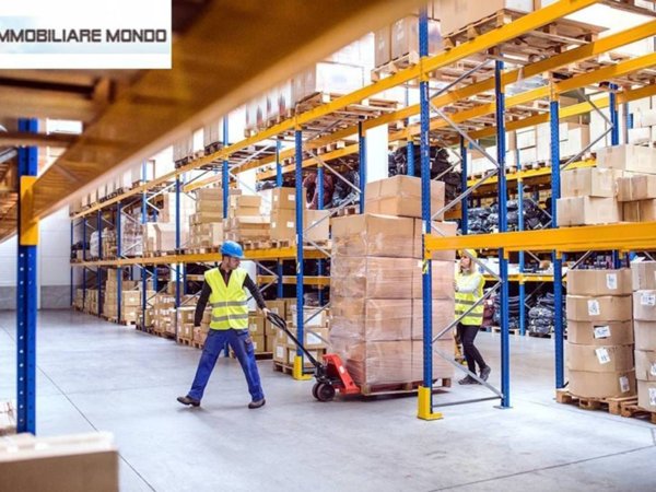 ufficio in vendita a Termoli