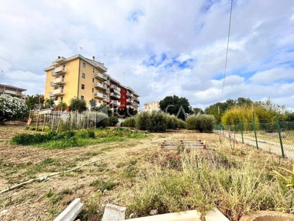 terreno agricolo in vendita a Termoli