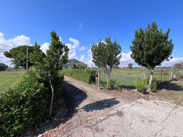 appartamento in vendita a Termoli