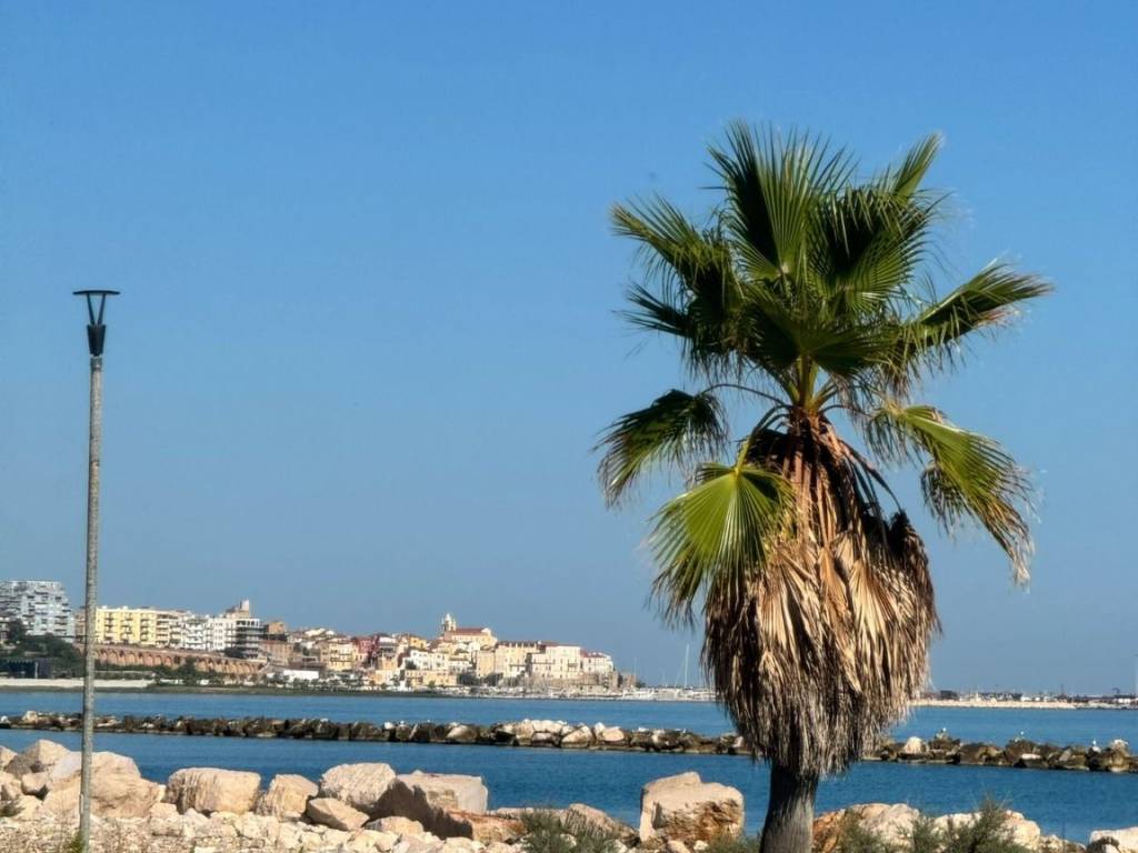appartamento in vendita a Termoli
