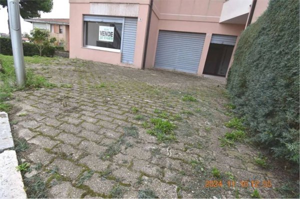 trivano in vendita a Termoli