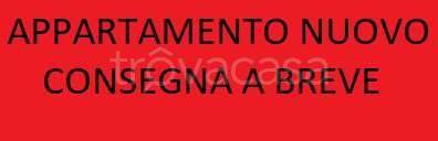 appartamento in vendita a Termoli