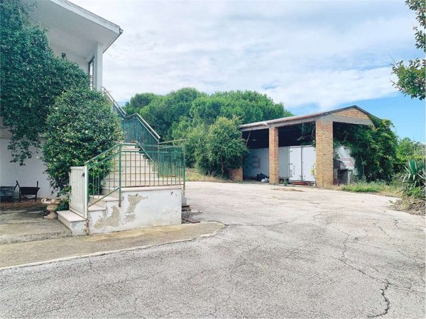 azienda agricola in vendita a Termoli