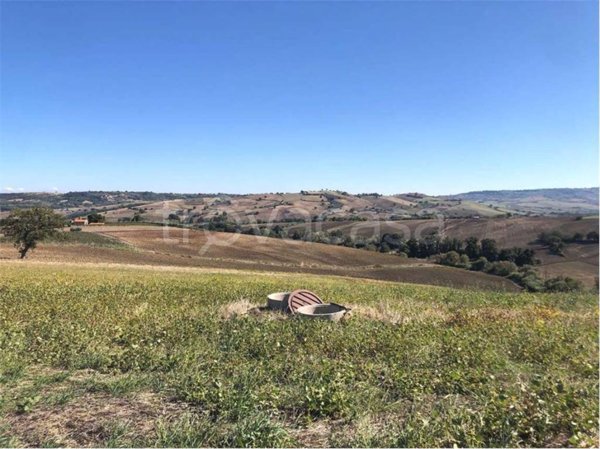 terreno agricolo in vendita a Termoli