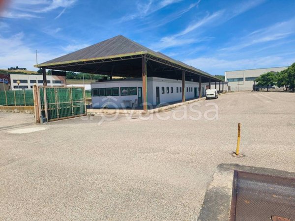 locale commerciale in vendita a Termoli