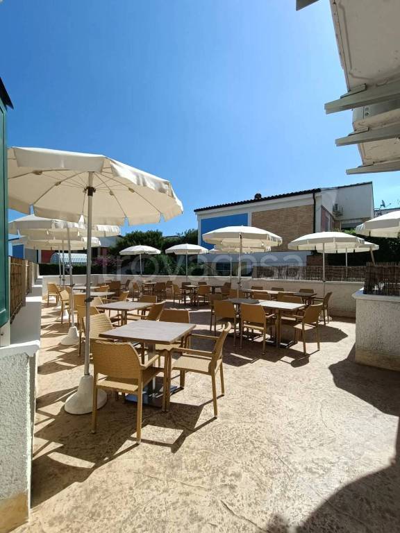 negozio in vendita a Termoli