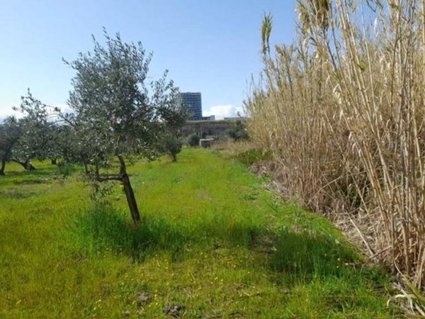 terreno agricolo in vendita a Termoli