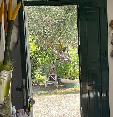 appartamento in vendita a Termoli