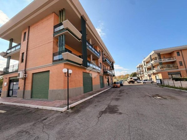 appartamento in vendita a Termoli