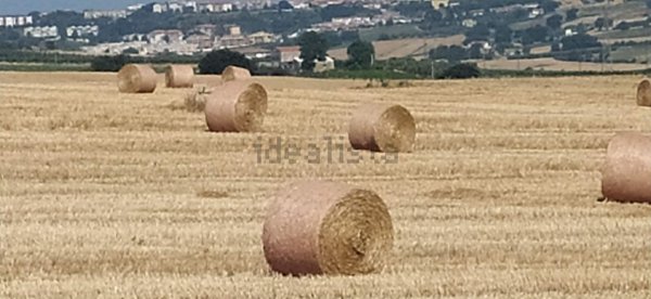 terreno agricolo in vendita a Termoli