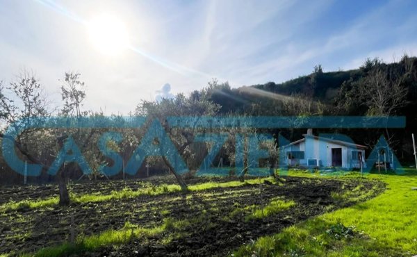 appartamento in vendita a Termoli