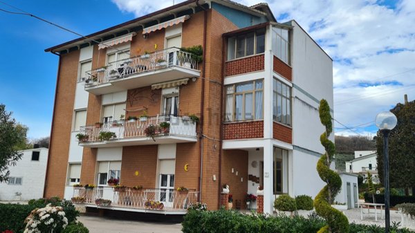 appartamento in vendita a Termoli