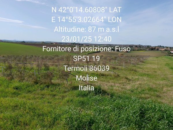 terreno agricolo in vendita a Termoli